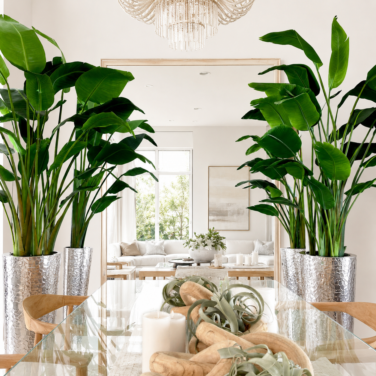 Bird of Paradise in Hammered Silver Stainless Steel Cone for stylish interiors | Avenmoss
