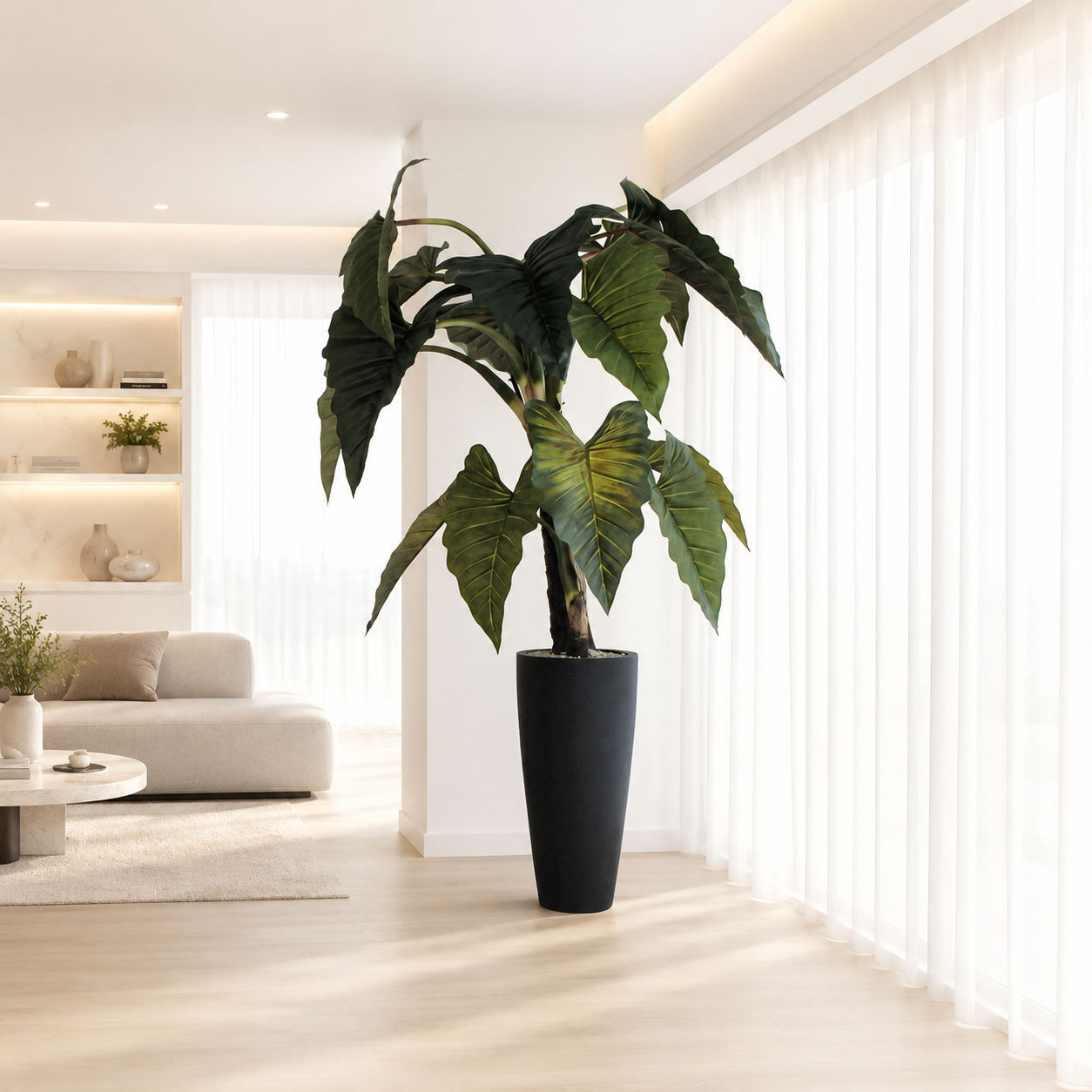 Alocasia Red Prince in Black Ashton Planter for stylish interiors | Avenmoss