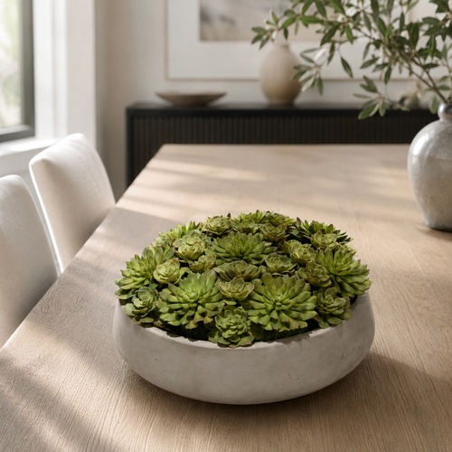 Newport XL Bowl with Succulents for stylish interiors | Avenmoss
