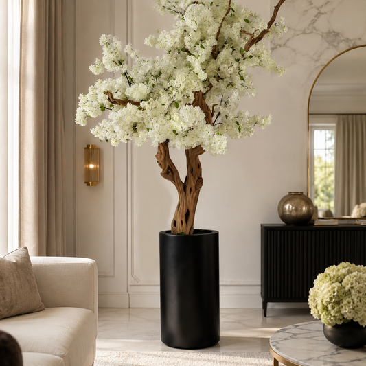 White Cherry Blossom Tree in St. Tropez Black Matt Planter for stylish interiors | Avenmoss
