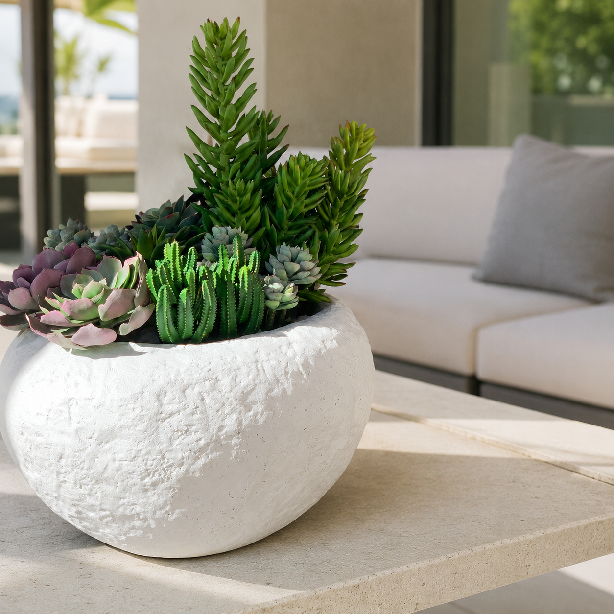 Tahiti Bowl with Mixed Succulents for stylish interiors | Avenmoss