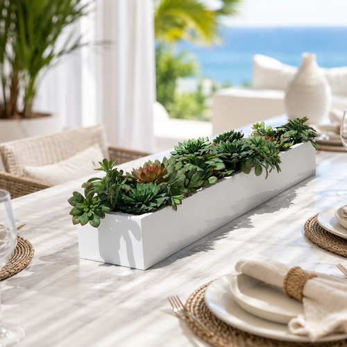 Succulents in Balcony Planter for stylish interiors | Avenmoss