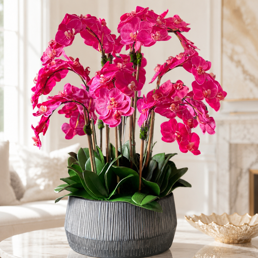 Black Java Bowl with Pink Phalaenopsis Orchids for stylish interiors | Avenmoss