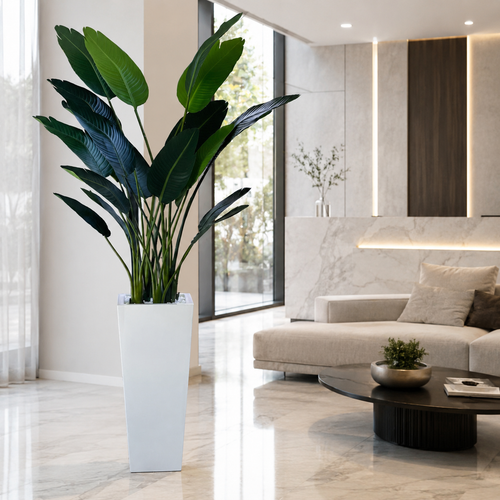 Strelitzia in Beau White Lacquered Planter for stylish interiors | Avenmoss