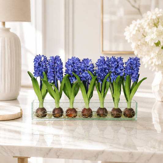 Blue Hyacinth in Casa Moderna Planter for stylish interiors | Avenmoss