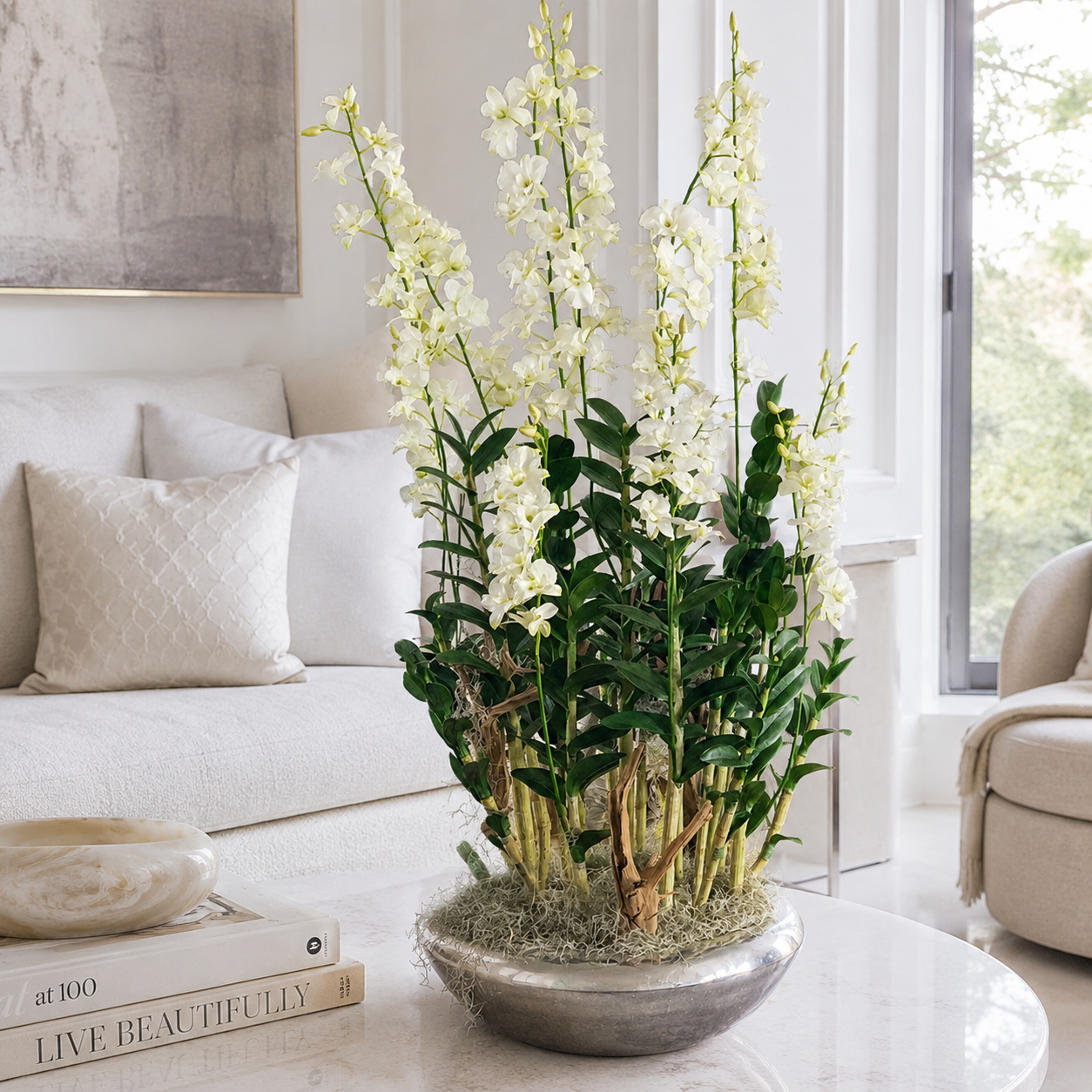 Dendrobium Orchids in Silver Avenue Planter for stylish interiors | Avenmoss