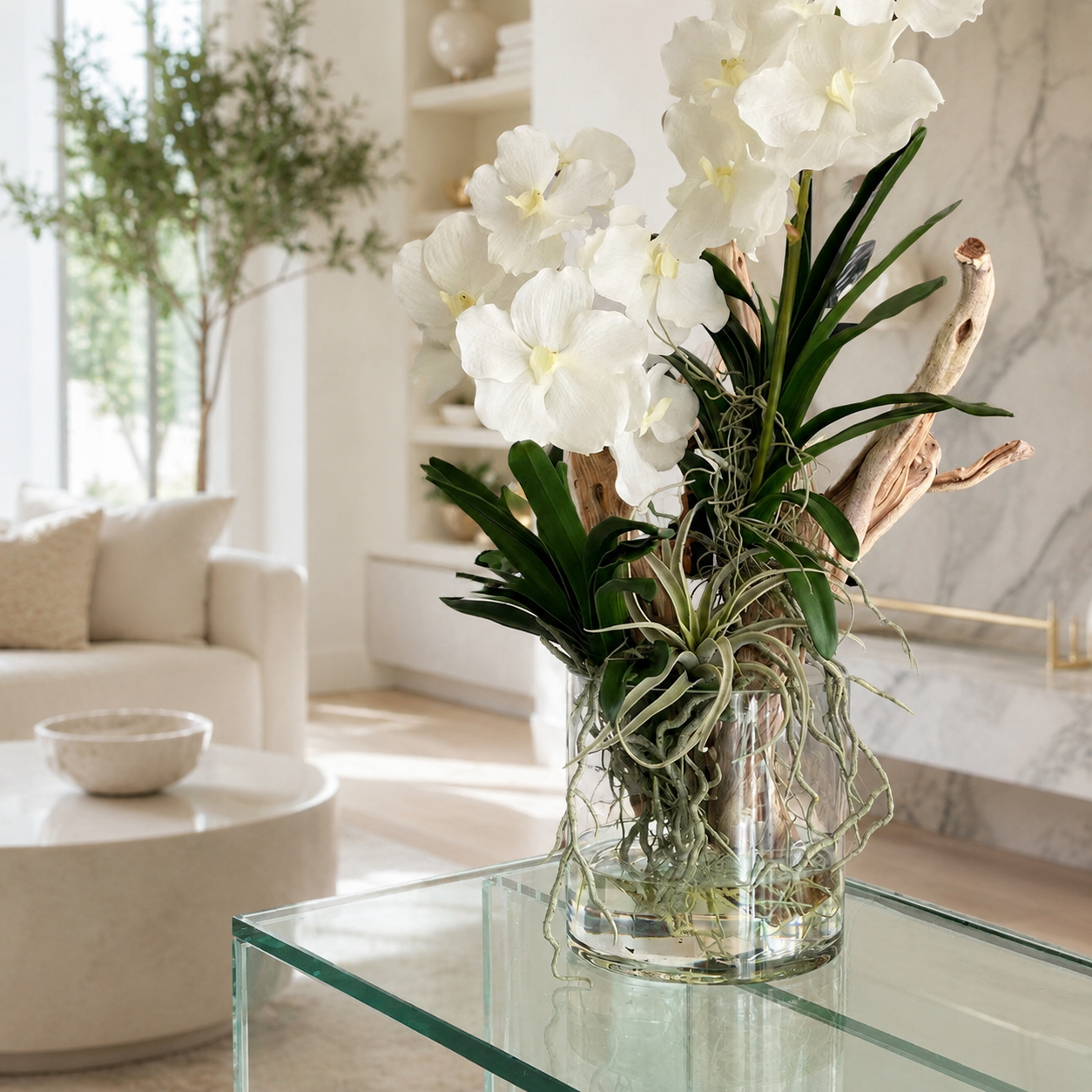 Vanda Orchids with Driftwood in Glass Cylinder for stylish interiors | Avenmoss