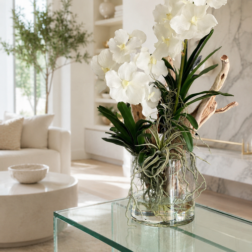 Vanda Orchids with Driftwood in Glass Cylinder for stylish interiors | Avenmoss